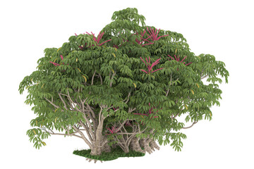 Forest on transparent background. 3d rendering - illustration