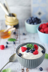 A bowl with Greek yogurt with berries	