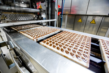 Sweets factory. Chocolate production process with conveyor belt