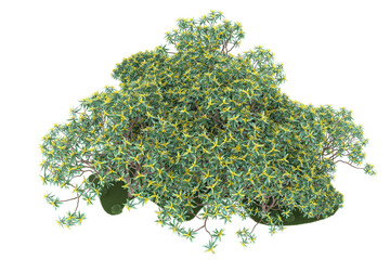 Forest on transparent background. 3d rendering - illustration © Elscar Studios