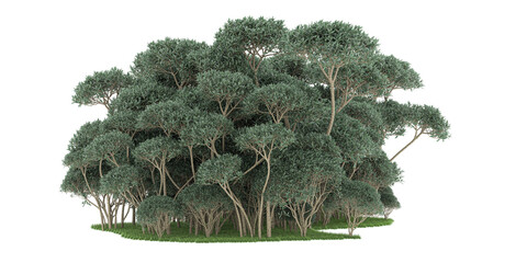 Forest on transparent background. 3d rendering - illustration © Elscar Studios