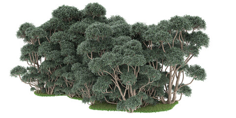 Forest on transparent background. 3d rendering - illustration