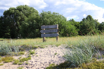 bench in the field