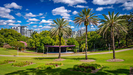 Roma Street Parkland in Brisbane, Queensland, Australia - obrazy, fototapety, plakaty