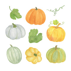 Pumpkins collection hand drawn watercolor elements for seasonal autumn holidays celebration design, healthy vegetarian diet, thanksgiving, halloween clipart set