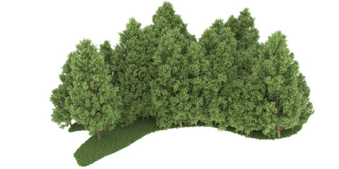 Forest on transparent background. 3d rendering - illustration