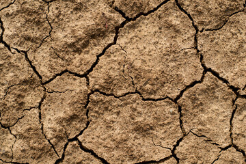Cracked clay ground into the dry season