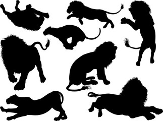 Silhouette Lions Graphic