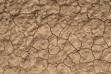 Cracked clay ground into the dry season