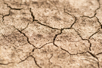 Cracked clay ground into the dry season