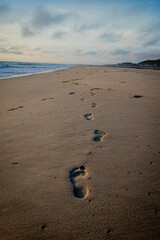 Vertical shot of footprints in the sand on the beach in the Outer Banks, North Carolina, USA