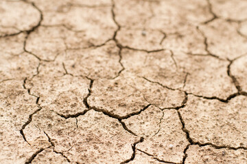 Cracked clay ground into the dry season