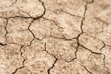 Cracked clay ground into the dry season