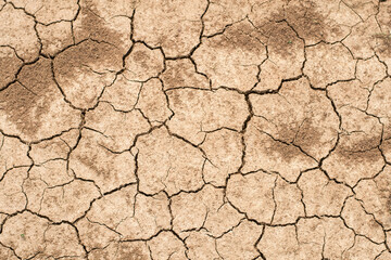 Cracked clay ground into the dry season