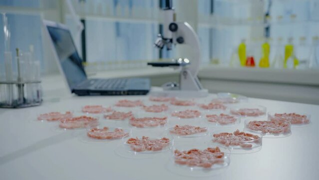 selected focus artificial cultured meat on a laboratory table in petri dishes in the background microscope,no body