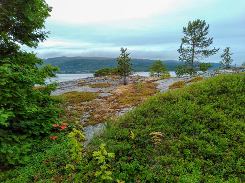 Beautiful scenery of Alta Fjord, northern Norway © Ilona