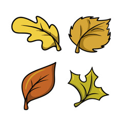 A set of autumn icons, autumn leaves from different trees, leaf fall, vector cartoon