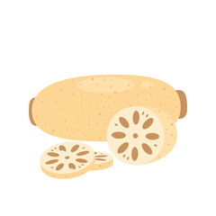 Lotus root and slices isolated on white background. Whole renkon and half. Nelumbo nucifera. Vector Asian exotic vegetables illustration in flat style.