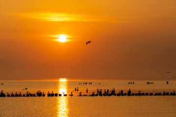 zachód słońca, wschód słońca, sunset, sunrise, zatoka, morze bałtyckie, ptaki, polska