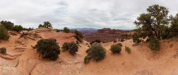 Scenic American Landscape and Red Rock Mountains in Desert Canyon. Spring Season. Canyonlands National Park. Utah, United States. Nature Background Panorama