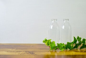 bottles & ivy / ビンとアイビー