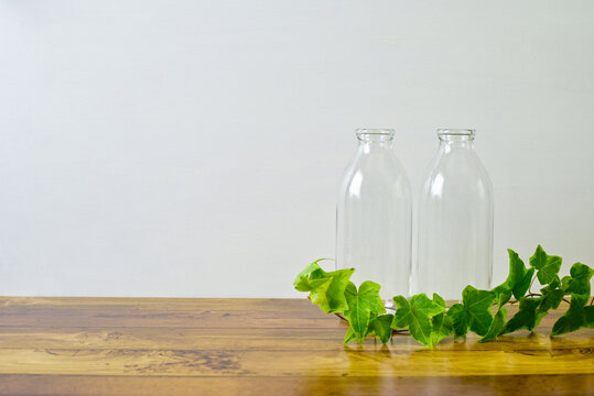 bottles & ivy / ビンとアイビー