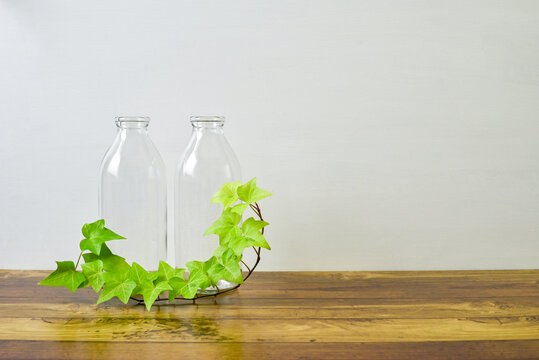 bottles & ivy / ビンとアイビー