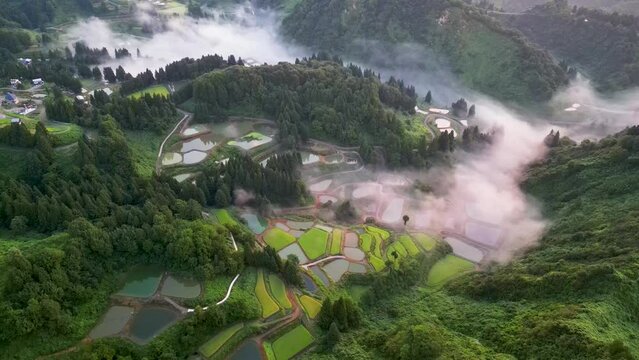 朝陽を浴びうっすら赤く色付いた霧が覆う棚田と棚池が並ぶ里山の美しい風景（新潟県長岡市山古志）