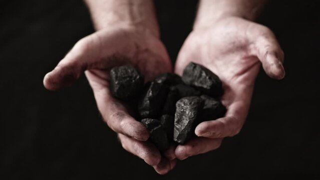 A miner shows the pieces and nuggets of coal in his hands.