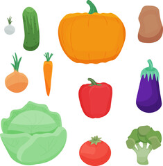 PNG illustration of colorful vegetables. Organic vegetables, on a transparent background, are used for a magazine, book, poster, postcard, menu cover, web pages, printing. Templates.