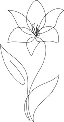 flower line art