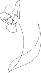 tulip line art on transparent background - 526755848