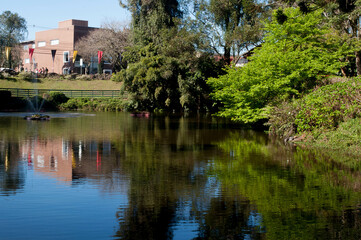 Fototapeta na wymiar Photograph of park lake on a beautiful sunny day
