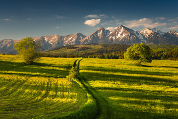 Obraz premium Spring view of the Tatra Mountains in Poland from Spisz and Podhale. Beautiful views from one of the most beautiful places in Małopolska.
