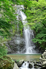 日本の大阪にある箕面の滝。箕面大滝。