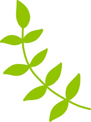 Green twig in rustic style on isolated background.