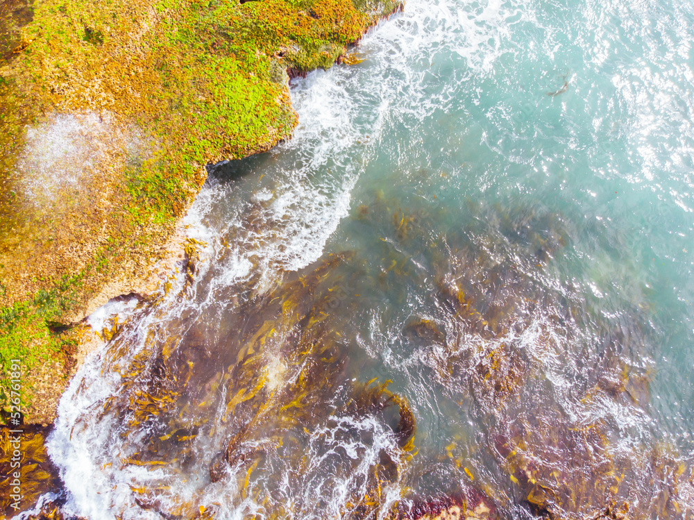 Wall mural pearses beach aerial in australia