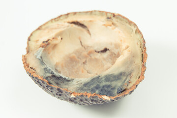 Avocado with mold. White background. Unhealthy and spoiled food