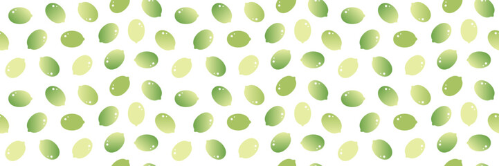 Wide horizontal vector seamless pattern background with pumpkin seeds. 