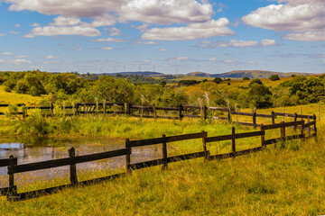 Meadow landscape scene