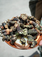 Hand holding a plate of barnacles with potatoes