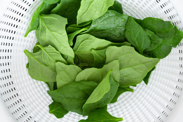 Washing some fresh spinach with a colander