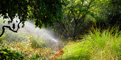 watering with sprinkler irrigation system watering lawn, flowers and trees. Heat, drought and global warming concept