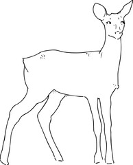 Reindeer minimalist black linear sketch isolated on white background. Vector illustration