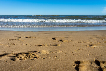 A sunny day on the beach by the Baltic Sea