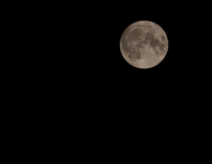 Sturgeon Moon Rising. Dark Night Sky. Space for copy.