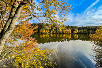Autumn Foliage Shines Around Georgia Lake Against Cobalt Blue Sky