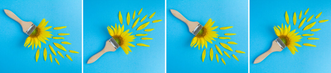 Collage of paintbrush with sunflower on the blue background. Top view. Closeup.