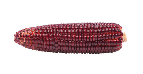 Corn isolated on transparent png
