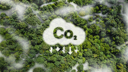 CO2 white fog, concept showing the problem of carbon dioxide and CO2 emissions for the environment,...